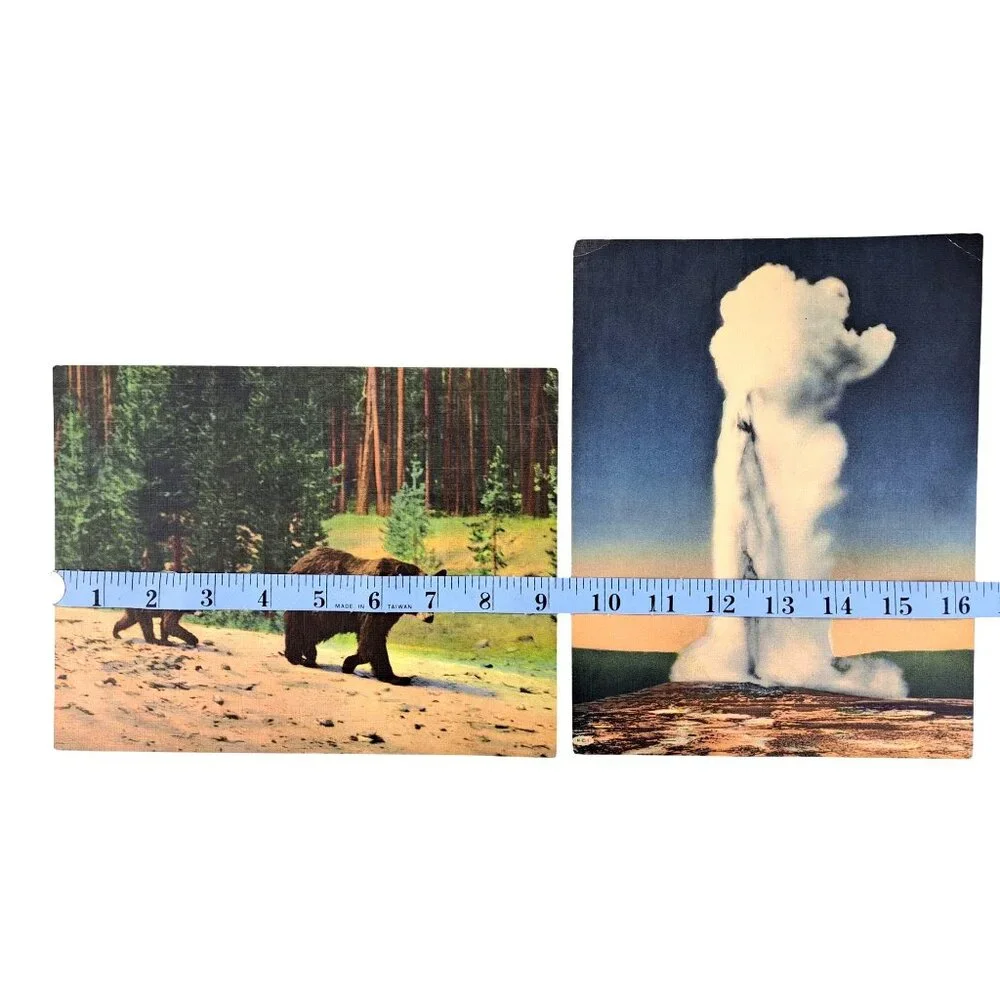 Vintage Yellowstone National Park Giant Postcards Bears Old Faithful Set Of 2
